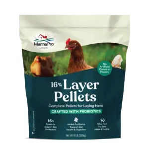 Manna Pro 16% Layer Pellets for Laying Hens | Crafted with Probiotics | 1 Bag | 8 lbs