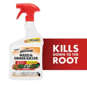 Spectracide Weed & Grass Killer | Use On Patios | Walkways & Driveways | 32 Ounces
