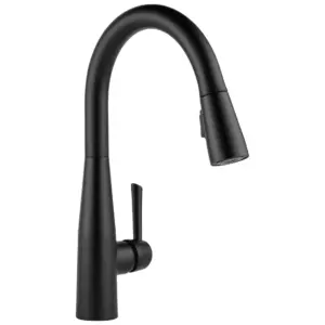 Riley Single-Handle Pull-Down Sprayer Kitchen Faucet with Reflex & Power Clean Inch Matte Black