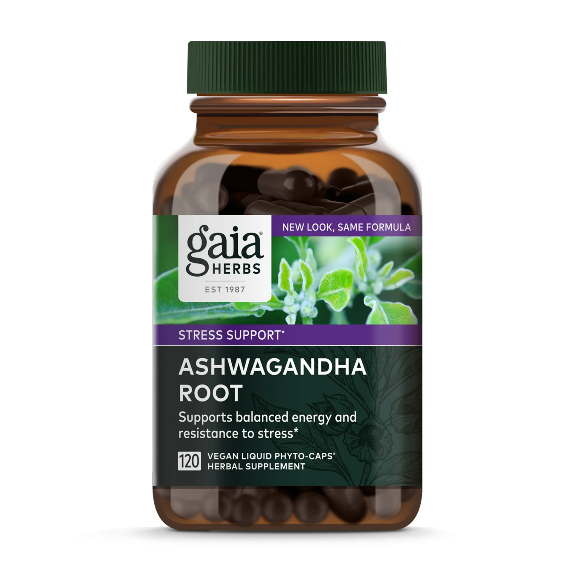 Gaia Herbs Ashwagandha Root | For Stress Relief | Immune Support | Balanced Energy Levels & Mood Support | Vegan Liquid Capsules | 120 Count