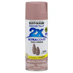 Spray Paint 12 Ounce Vintage Blush