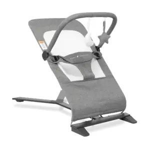 Open Box Baby Delight Alpine Deluxe Portable Baby Bouncer | for Infants 0-6 Months | Charcoal Tweed