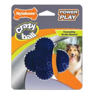 Nylabone Power Play Crazy Ball Dog Toy Large/Giant | Up to 50 lbs. (1 Count)