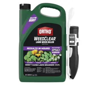 Ortho WeedClear Lawn Weed Killer Ready-to-Use1 with Comfort Wand | 1 gal