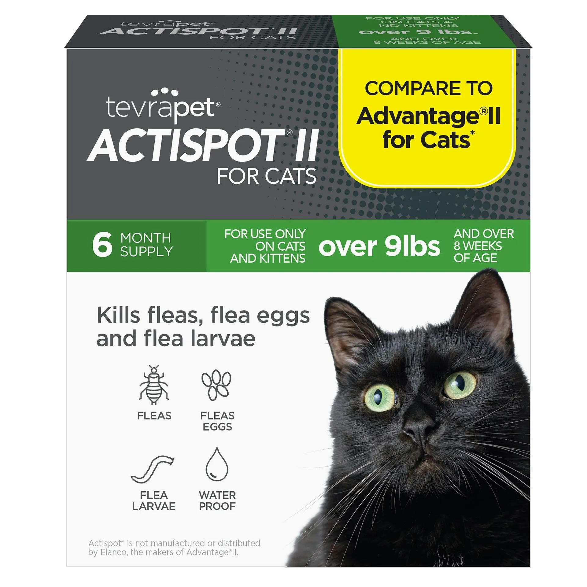 TevraPet Actispot II Flea Treatment for Large Cats 9+ lbs | Monthly Topical | 6 Count | Large Cats 9+ lbs