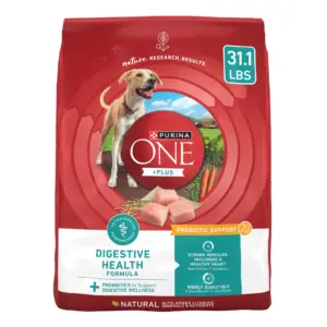 Purina ONE Plus Digestive Health Dry Dog Food for Adults | High Protein Chicken | 31.1 lb Bag | 31.1 lbs
