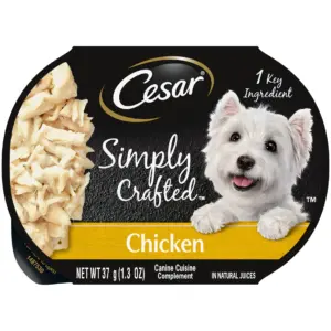 Cesar Simply Crafted Chicken Wet Dog Food | 1.3 Ounce Tub