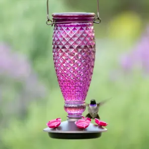 Perky-Pet Diamond Wine Top-Fill Glass Hummingbird Feeder (Premium Edition)