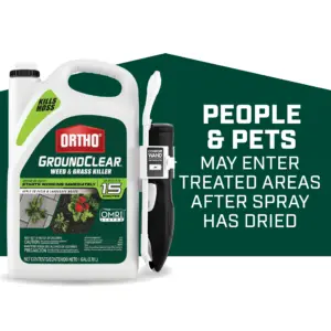 Ortho GroundClear Weed & Grass Killer with Comfort Wand | Kills Moss & More | 1 gal