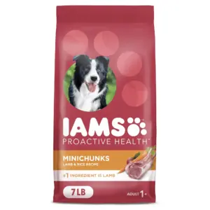 Iams Proactive Health Minichunks Dry Dog Food With Real Lamb and Rice | 15 Lb. Bag