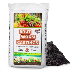 Brut All Natural Organic Worm Castings Soil Builder | 30 Pound Bag | Single | 1 Pack