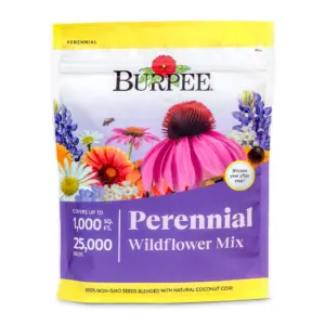 Burpee Perennial Wildflower Seeds Mix Non-GMO | Attracts Pollinators | Perennial Flowers | 50,000 Seeds | 1 Bag